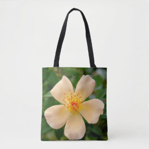 Oakley Fisher Rose