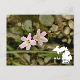 Oakwood Metropark Springbeauty mit Logo Postkarte