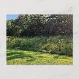 Oakwood Metropark Türkei Weg Postkarte