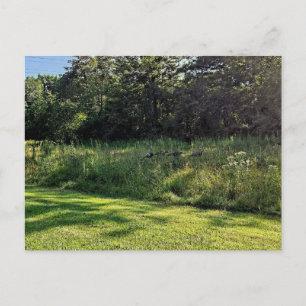 Oakwood Metropark Türkei Weg Postkarte