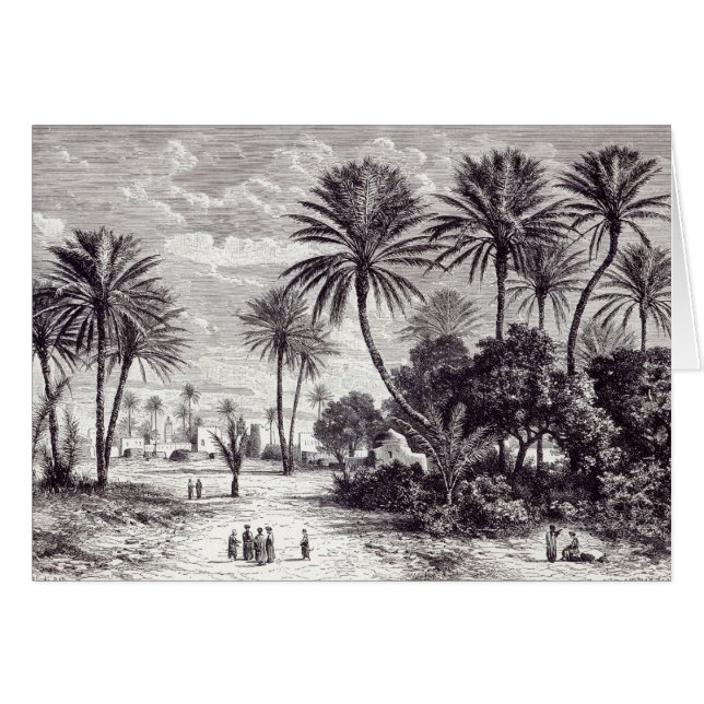 Oase von Gafsa: Tunis (Vorderseite (Horizontal))