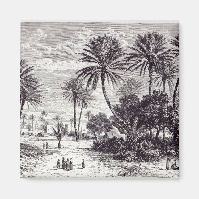 Oase von Gafsa: Tunis Magnet (Vorne)