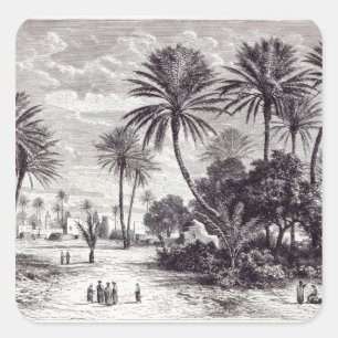 Oase von Gafsa: Tunis Quadratischer Aufkleber