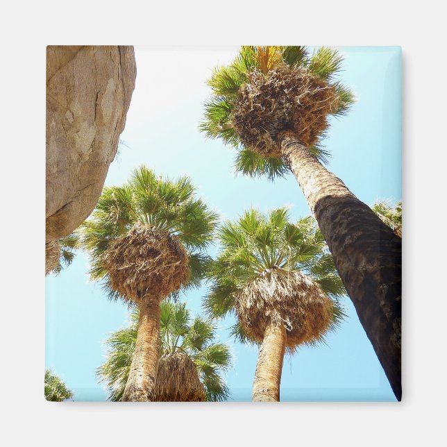 Oasis Palms am Joshua-Tree-Nationalpark Magnet (Vorne)