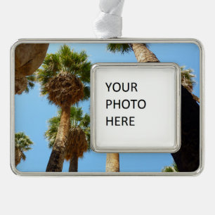 Oasis Palms am Joshua-Tree-Nationalpark Rahmen-Ornament Silber