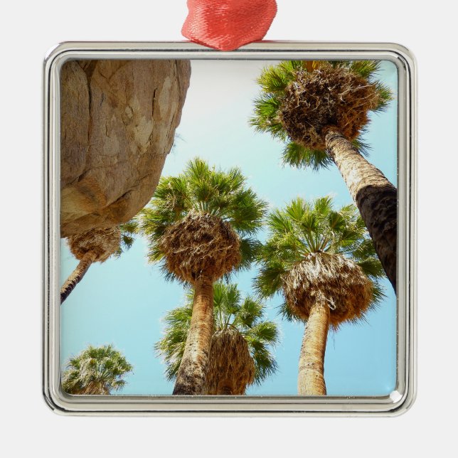 Oasis Palms am Joshua-Tree-Nationalpark Silbernes Ornament (Vorne)