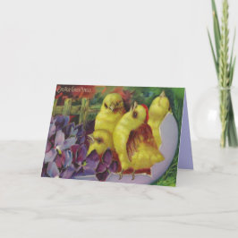 Oaster Chick Greetings Feiertagskarte