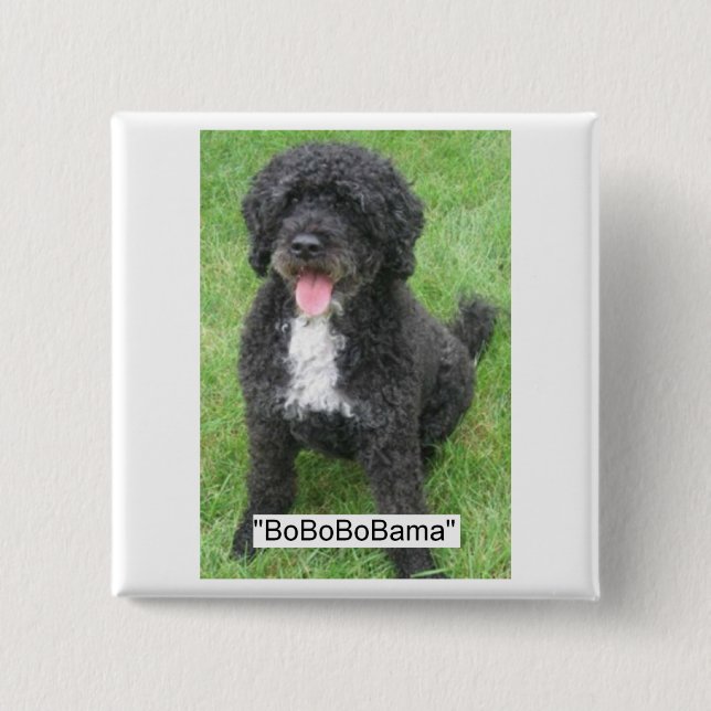 Obama Pet Portugiesischer Wasserhund Button (Vorderseite)