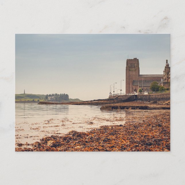 Oban Harbor Postkarte (Vorderseite)