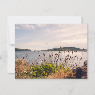 Oban Waterfront Postkarte