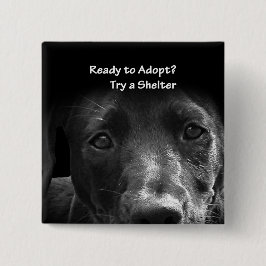 Obdachlose Adoption Button