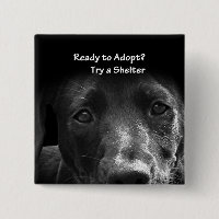 Obdachlose Adoption
