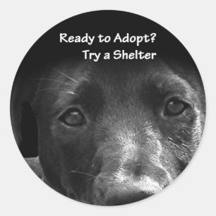 Obdachlose Adoption Sticker Hund