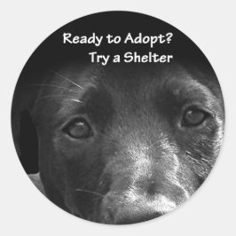 Obdachlose Adoption Sticker Hund