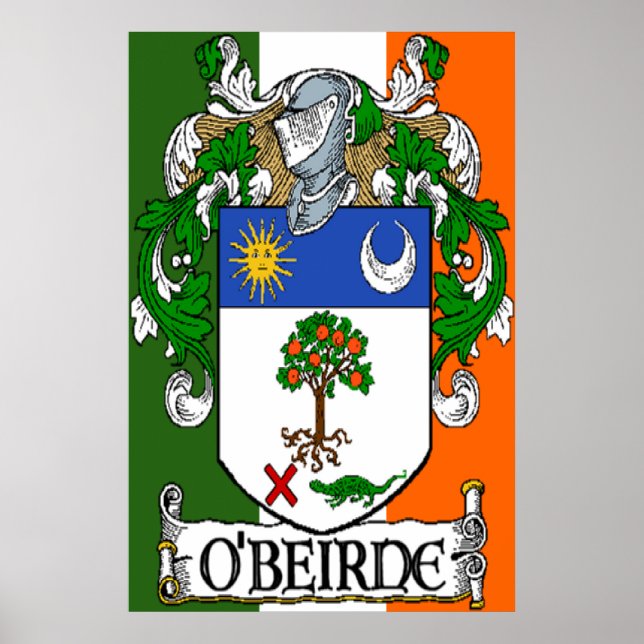 O'Beirne Coat of Arms Irish Flag Print Poster (Vorne)