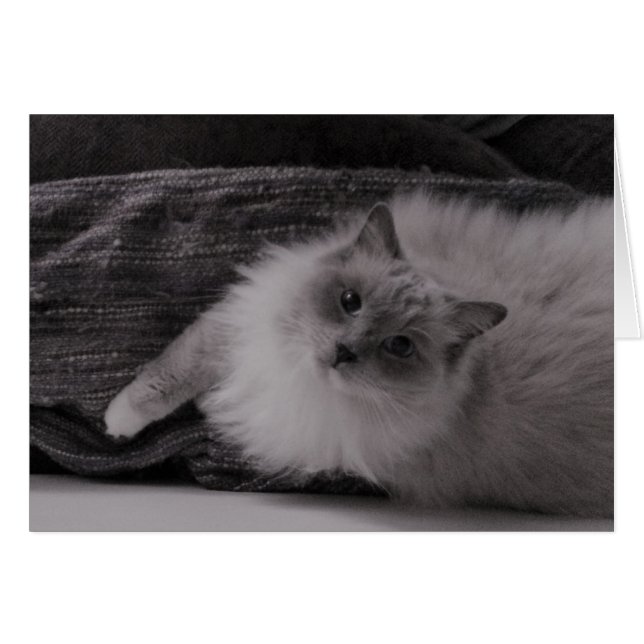 Oben schauen (Vorderseite (Horizontal))