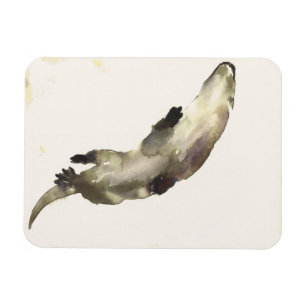 Oben schwimmen magnet