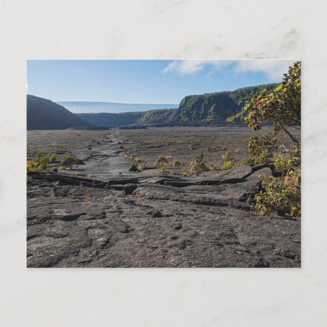 Oben trockenes Lavasee des Kilauea iki Kraters Postkarte (Vorderseite)