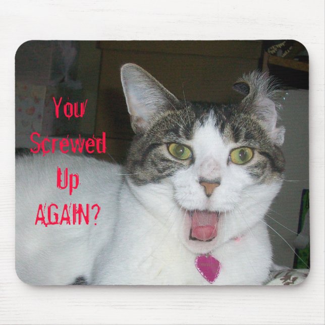 Oben wieder geschraubt? mousepad (Vorne)