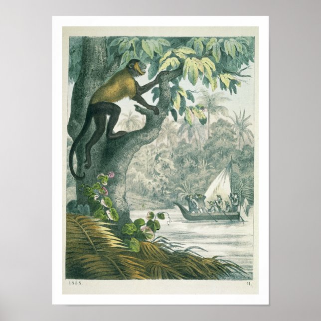 Obere Ausläufer des Amazonas, von 'Das Buch der Wi Poster (Vorne)