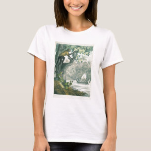 Obere Ausläufer des Amazonas, von 'Das Buch der Wi T-Shirt
