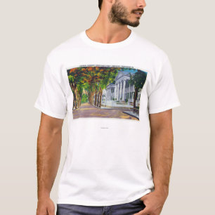 Obere Hauptstraßen-Ansicht der Kolonialvillen T-Shirt