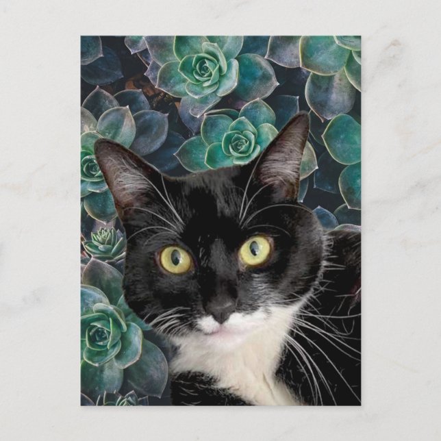 obere Postkarte (Vorderseite)