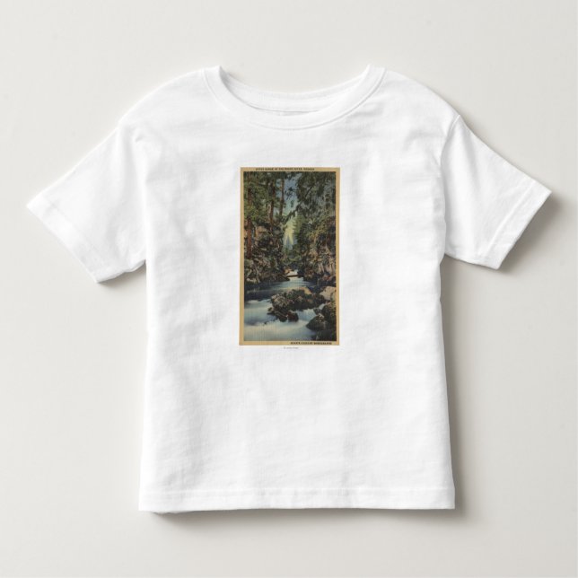 Obere Schlucht Ansicht des Schurken- Fluss-, Kleinkind T-shirt (Vorderseite)