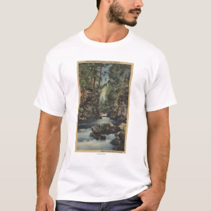 Obere Schlucht Ansicht des Schurken- Fluss-, T-Shirt