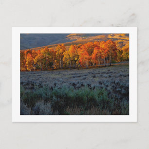 "Obere Sommerwiese" Postkarte