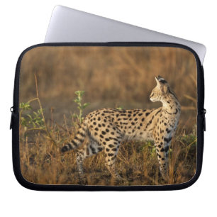 Oberer Mara, Masai-Mara-Naturreservat, Kenia, Laptopschutzhülle