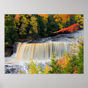 Oberes Tahquamenon fällt in Herbst-Plakat Poster