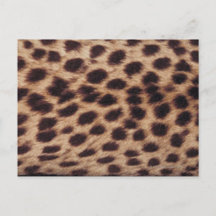 Oberfläche der gepunkteten Katze Postkarte