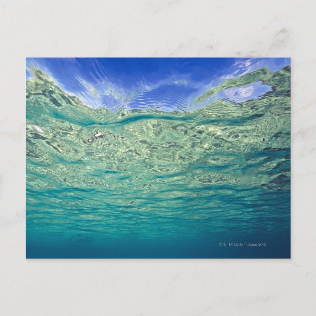 Oberfläche des klaren, topischen Meeres Postkarte (Vorderseite)