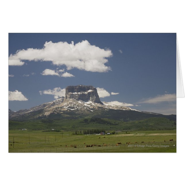 Obergebirge mit Weiden von Rindern (Vorderseite (Horizontal))