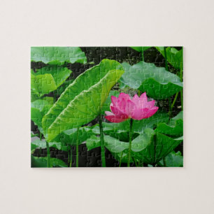 Oberhalb von Muddy Waters (rosa Wasserlilie) Puzzle