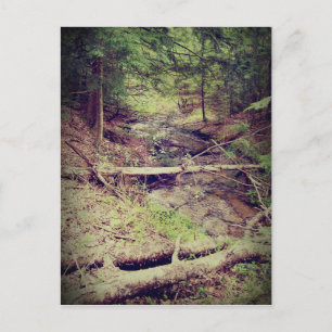 Oberhalbinsel-Bach Postkarte
