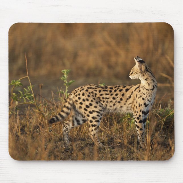 Obermara, Masai Mara Game Reserve, Kenia, Mousepad (Vorne)