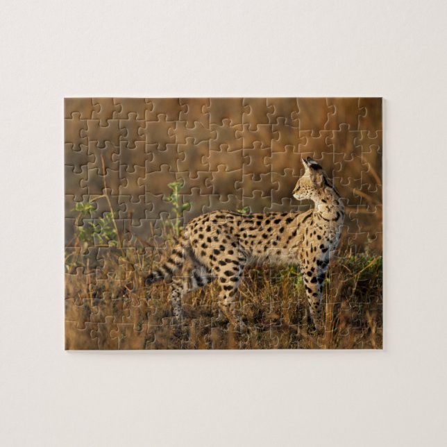 Obermara, Masai Mara Game Reserve, Kenia, Puzzle (Horizontal)