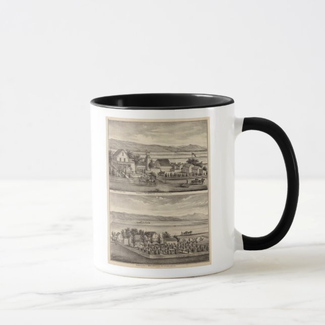 Obermuller, Wille-Residenzen Tasse (Rechts)
