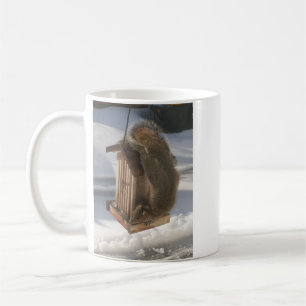 Oberseite - Squirrel unten Tasse