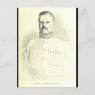 Oberst Theodore Roosevelt Postkarte