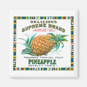 Oberste Ananas-Reserven Magnet