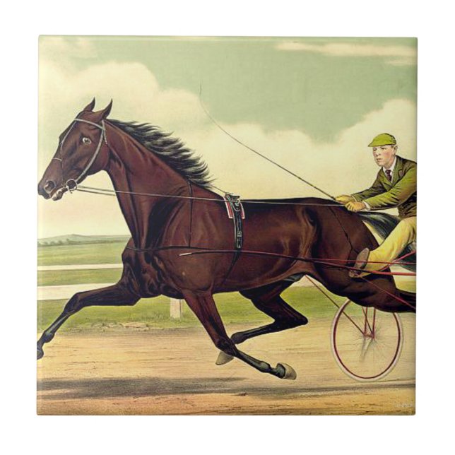 OBERSTER mürrischer Champion Fliese (Vorderseite)