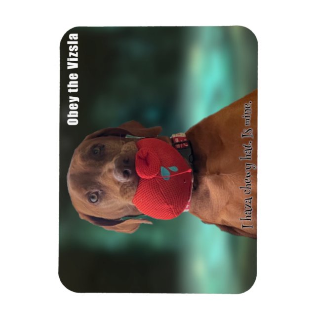 Obey der Vizsla Chewy Hat Magnet (Vertikal)