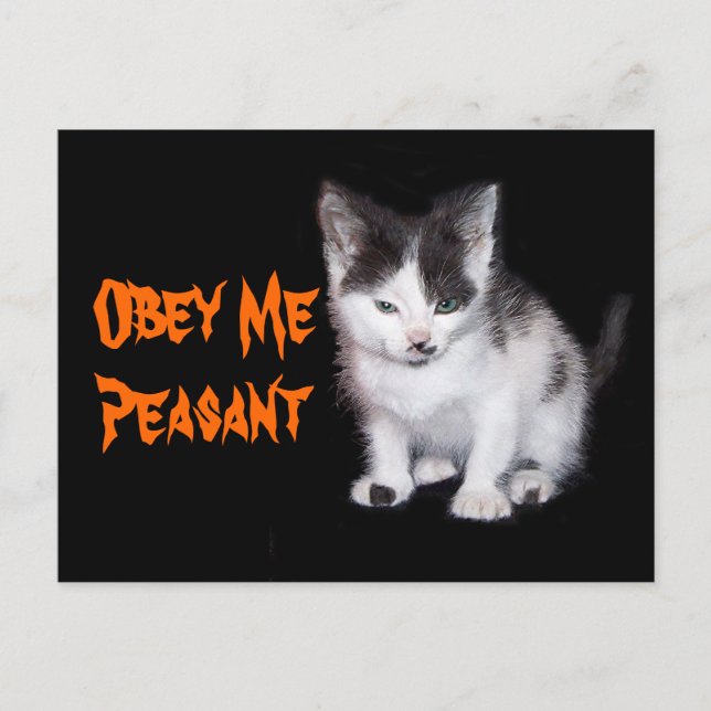 Obey Me Bauant Postkarte (Vorderseite)