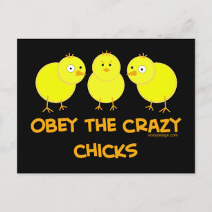 Obey The Crazy Chicks Postkarte