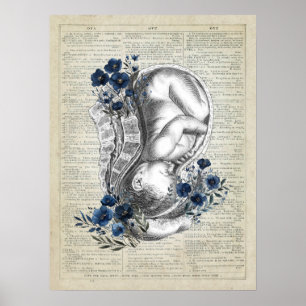 OBGYN Geschenkanatomie des Babys in Frau w/Blue Fl Poster