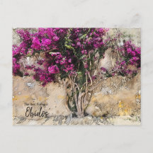 Obidos Colors Portugal