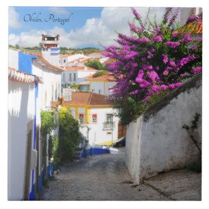 Obidos, Portugal Fliese